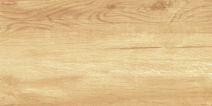Плитка AltaCera Paradise Wood WT9OAS31 (25x50)